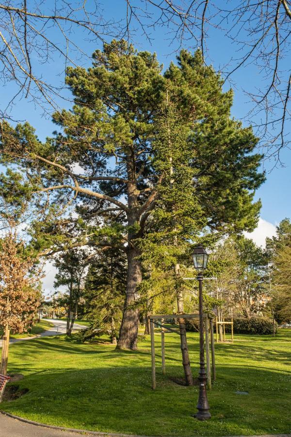 Superbe Appartement En Hyper Centre, Proche Plage Arcachon Exterior foto